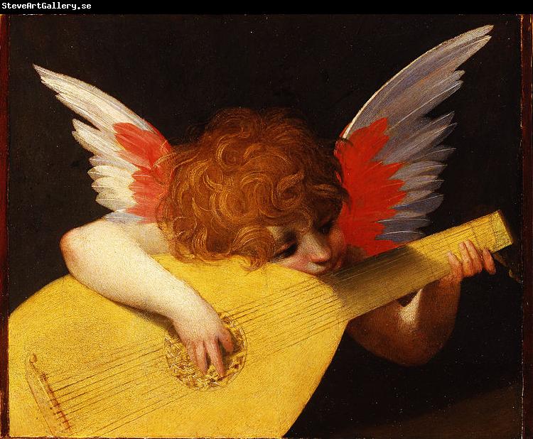 Rosso Fiorentino Putto che suona